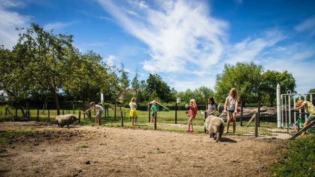 Vakantiewoning - Kon. Emmaweg 26 | Vrouwenpolder 'Uitspanning Oranjezon' Eksteriør billede